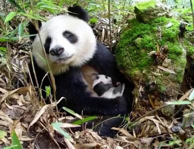 汉中12条经典自驾游线路重点推荐