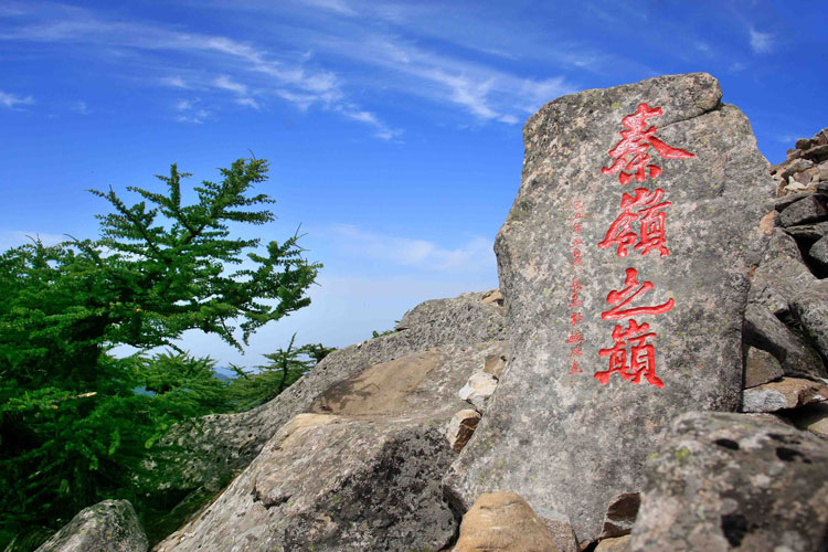 西安朱雀国家森林公园